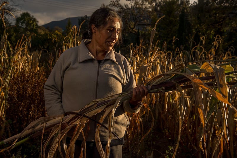 Diputados del Verde en Edomex piden sancionar bombardeo de nubes