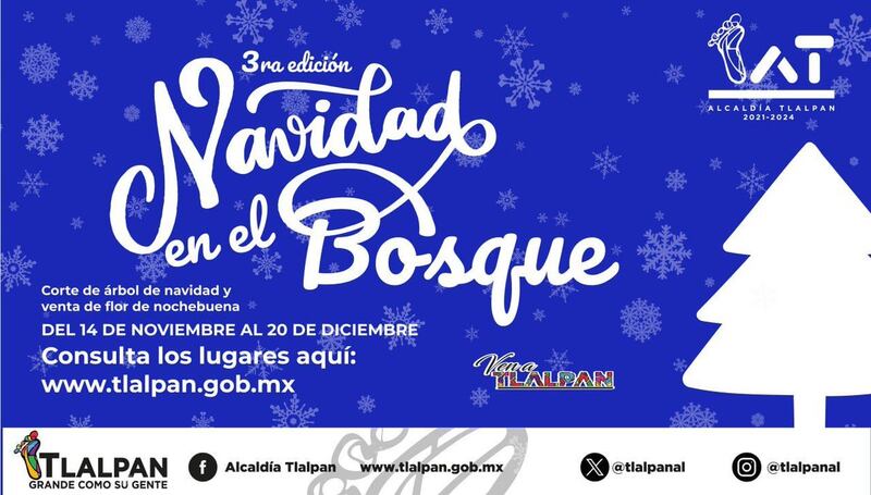 Navidad Bosque Tlalpan