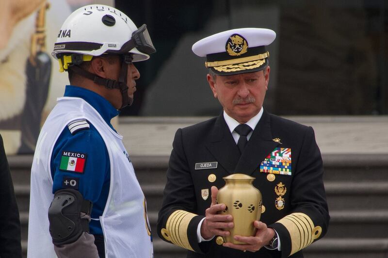 Frida: Secretaría de Marina ofrece ceremonia en honor a perrita