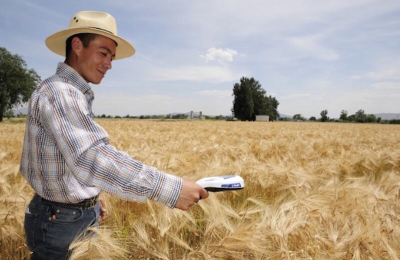 A través de diversas prácticas, Heineken México busca garantizar el manejo sostenible del agua en el cultivo de la cebada. 860,000 m³ de volumen de agua se ahorraron en 2022.