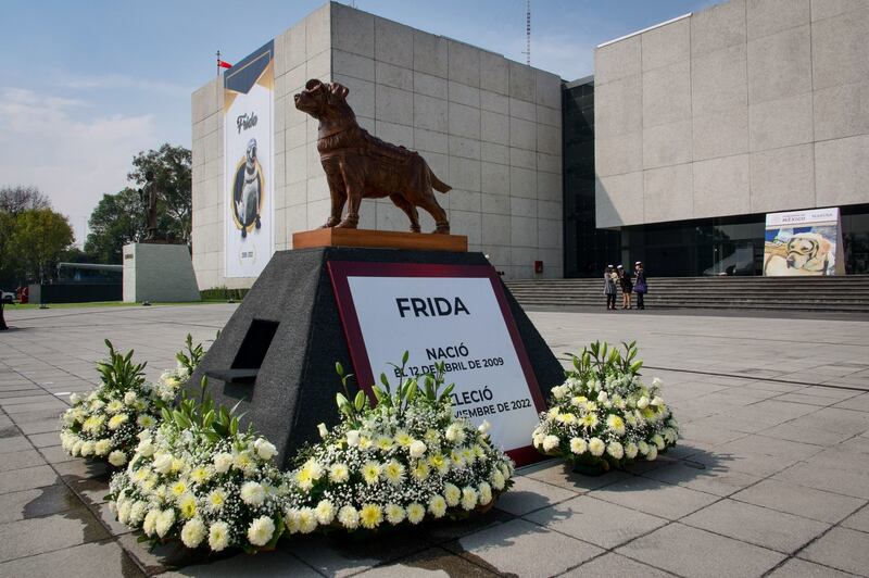 Frida: Secretaría de Marina ofrece ceremonia en honor a perrita