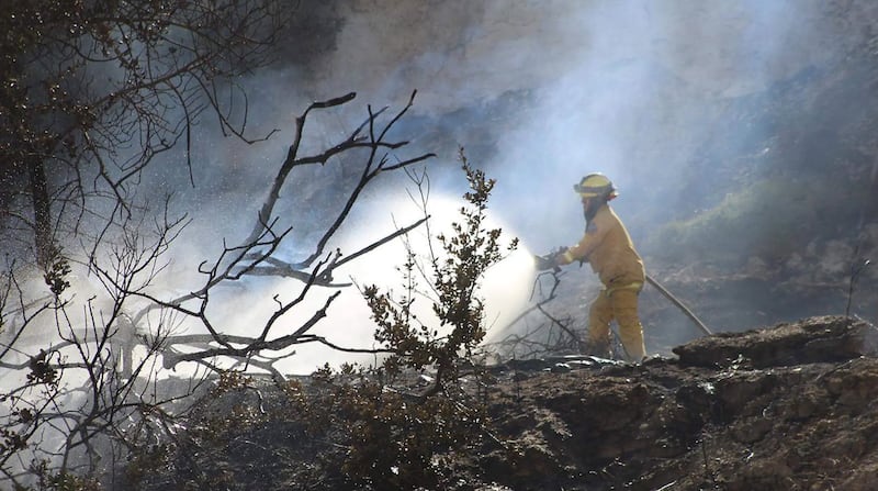 Incendio forestal en Tecate