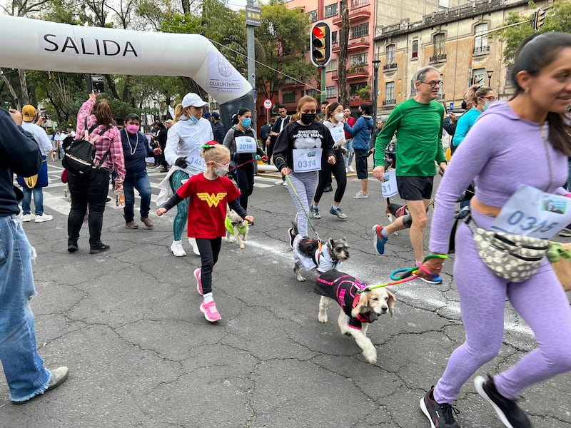 Carrera Perritos en Fuga