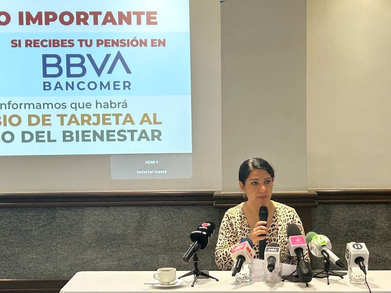 Delegada de Bienestar, Katia Meave.