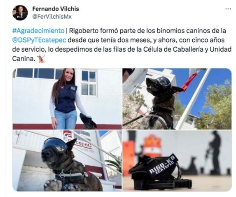 'Rigoberto', perro policía de Ecatepec