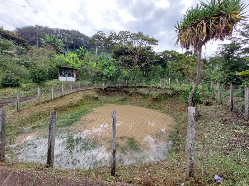 Acceso al agua en comunidades indígenas: refresco para tomar y lodo para lavar