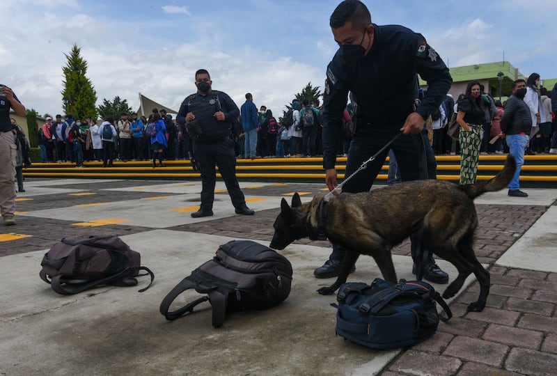 Perros rescatados formarán parte de Fiscalía