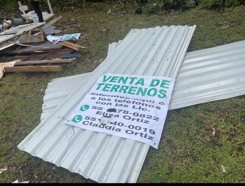 Desmantelan invasiones en zona de conservación del Ajusco