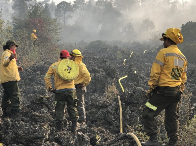 Incendios bosques