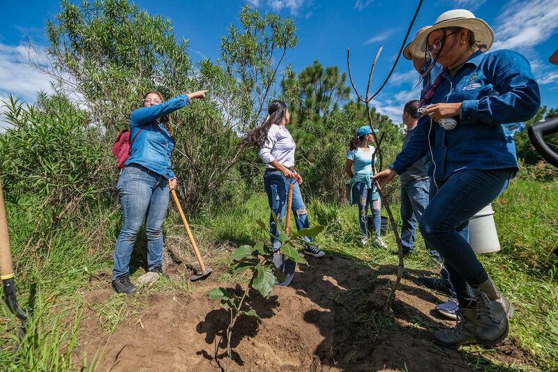 En la zona se construyeron accesos peatonales, por los riesgos que implica la avenida Acueducto.