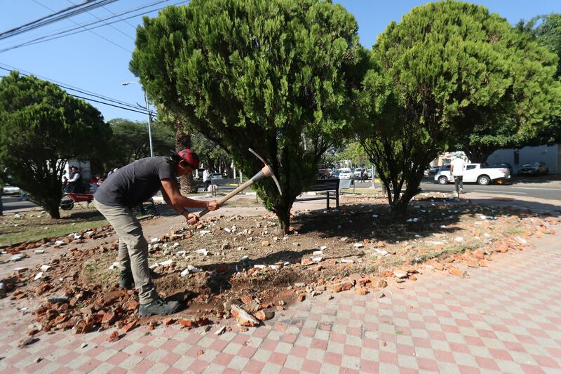 La gente podrá pedir que se informe, por ejemplo, del cumplimiento de los reportes de mejoramiento urbano en la Dirección de Parques y Jardines.