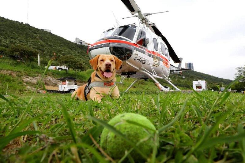 Joe tiene certificaciones en rescate en agua y tierra.