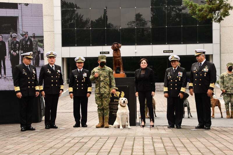 Develación de estatua de la perrita rescatista Frida.