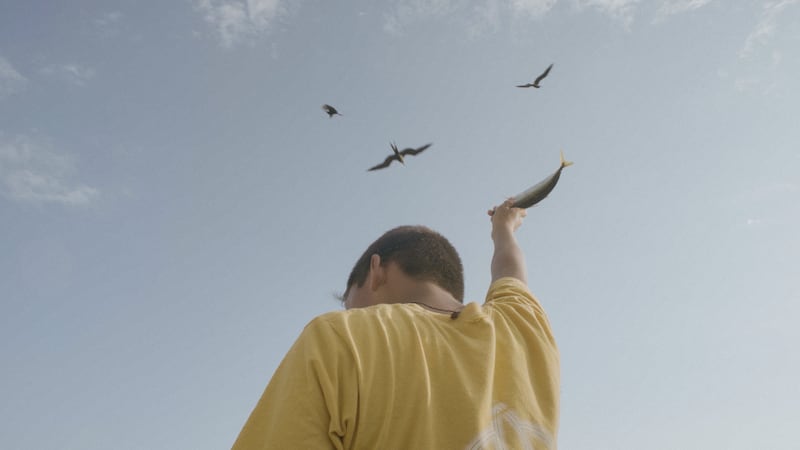 Muestra Oaxaca, Cine para la Vida